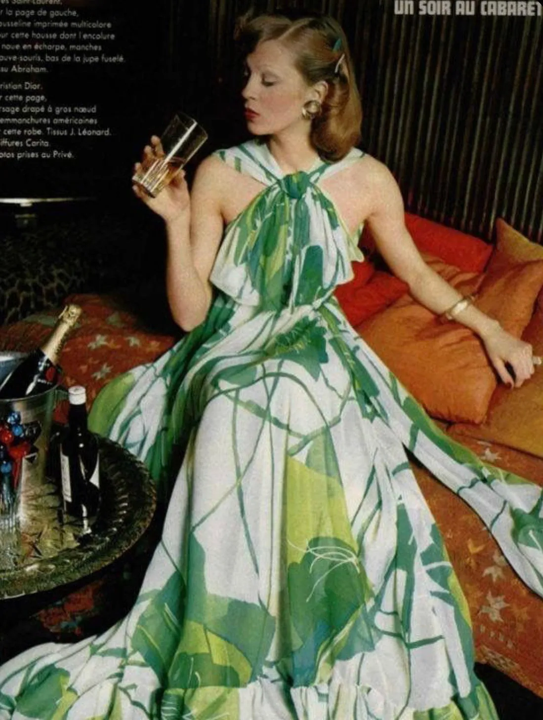 Beautiful 1973 Christian Dior by Marc Bohan Printed Silk Chiffon Dress