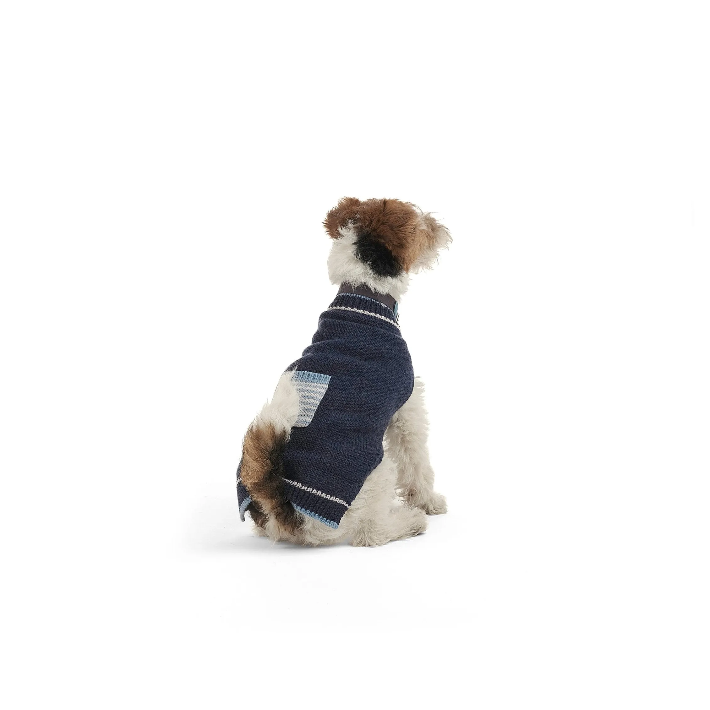 Breton Merino Dog Pullover
