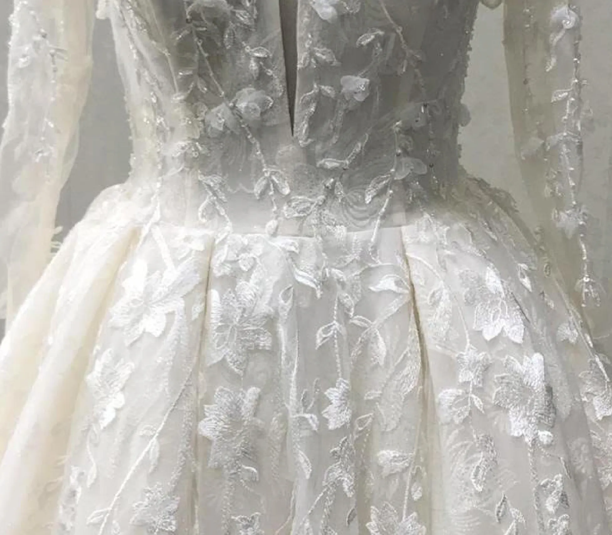 Illusion 3D Lace Pleated Skirt Bridal Gown Long Sleeve Wedding Dress
