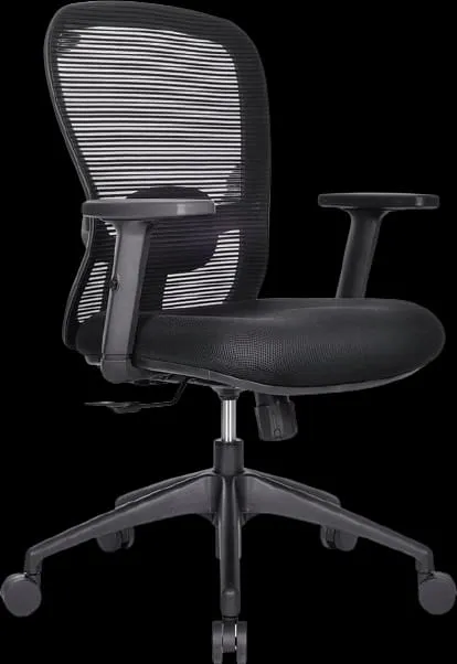 Office Short Adjustable Chair